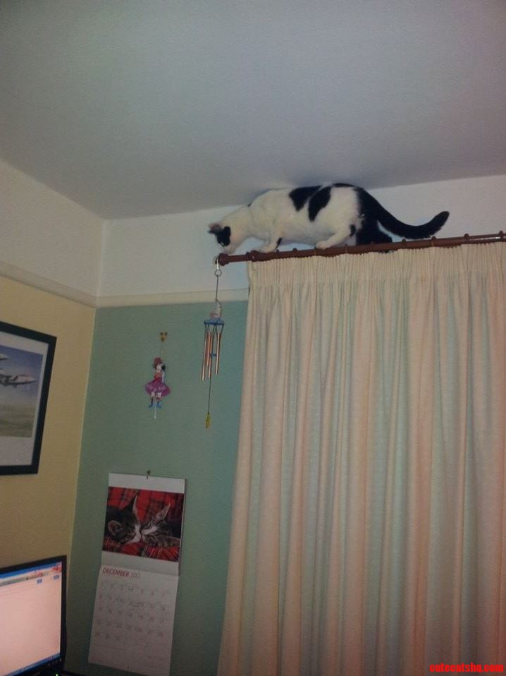 This Wind Chime Is Ruining the Feng Shui in Here.