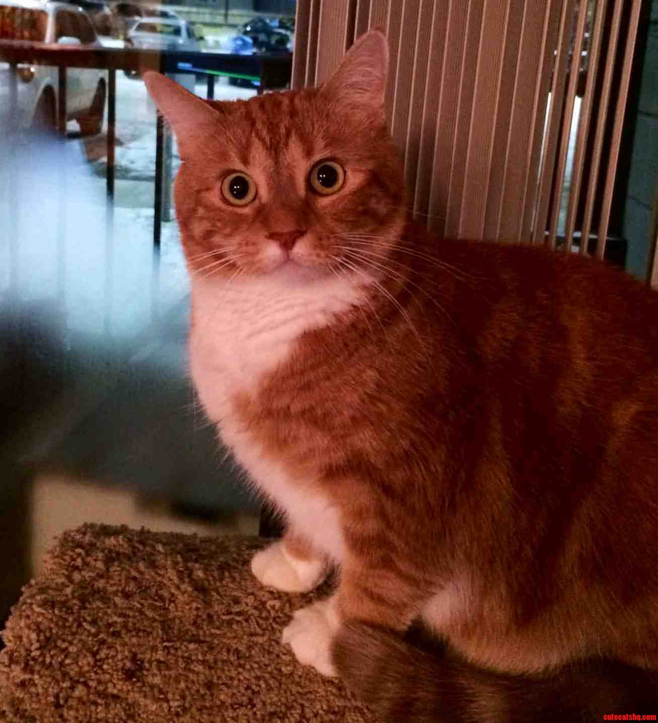 Those Eyes Have Seen Too Much. or Nothing at All.
