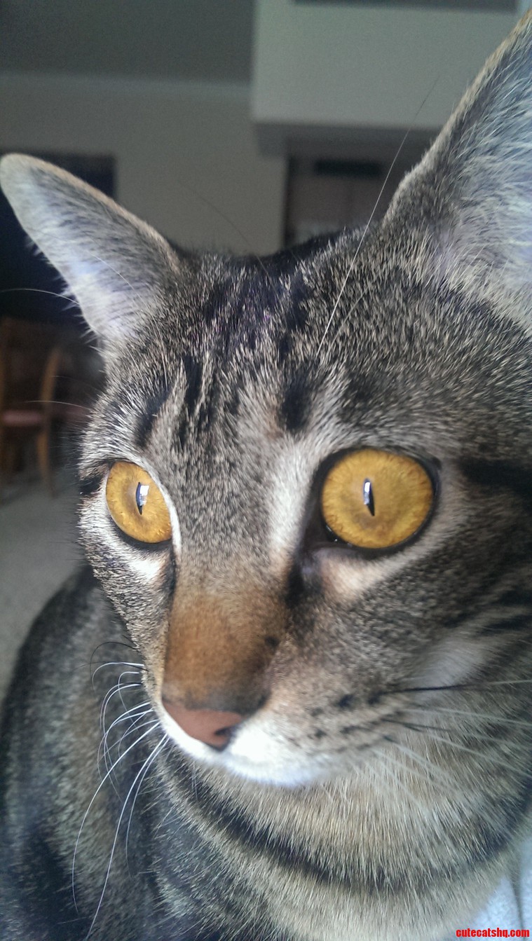 Those Eyes