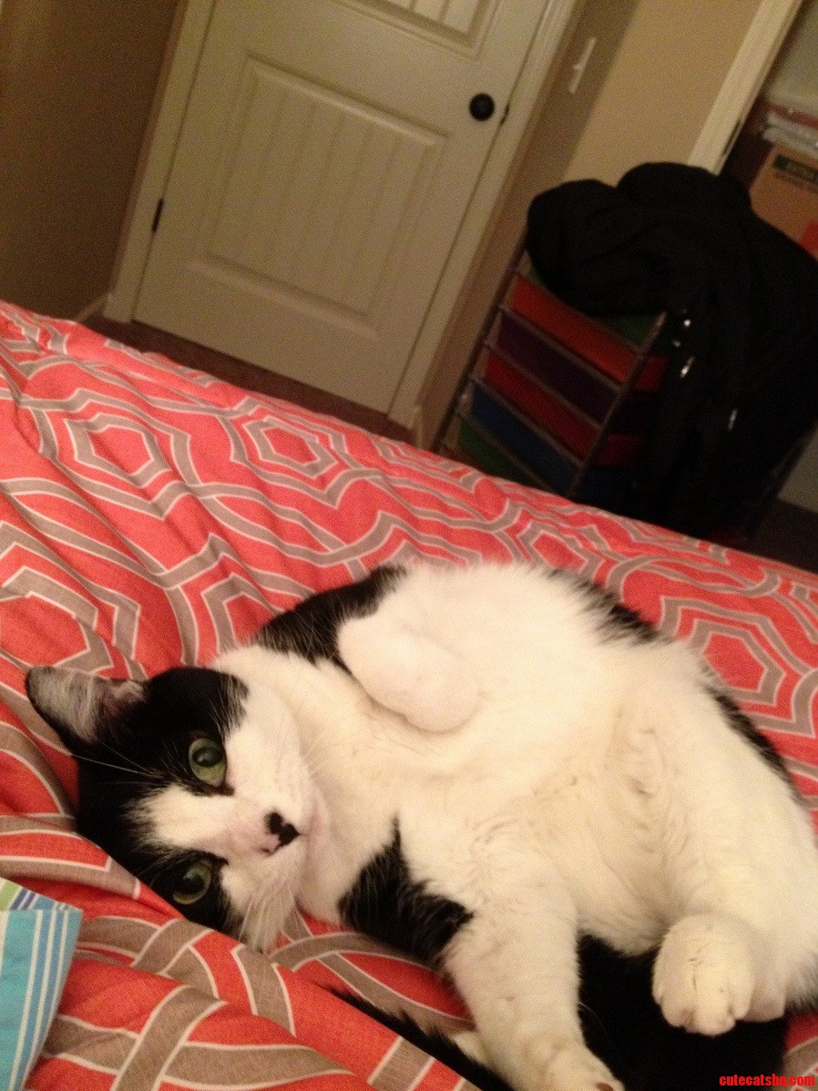 Tori Doesnt Seem to Mind the New Move.
