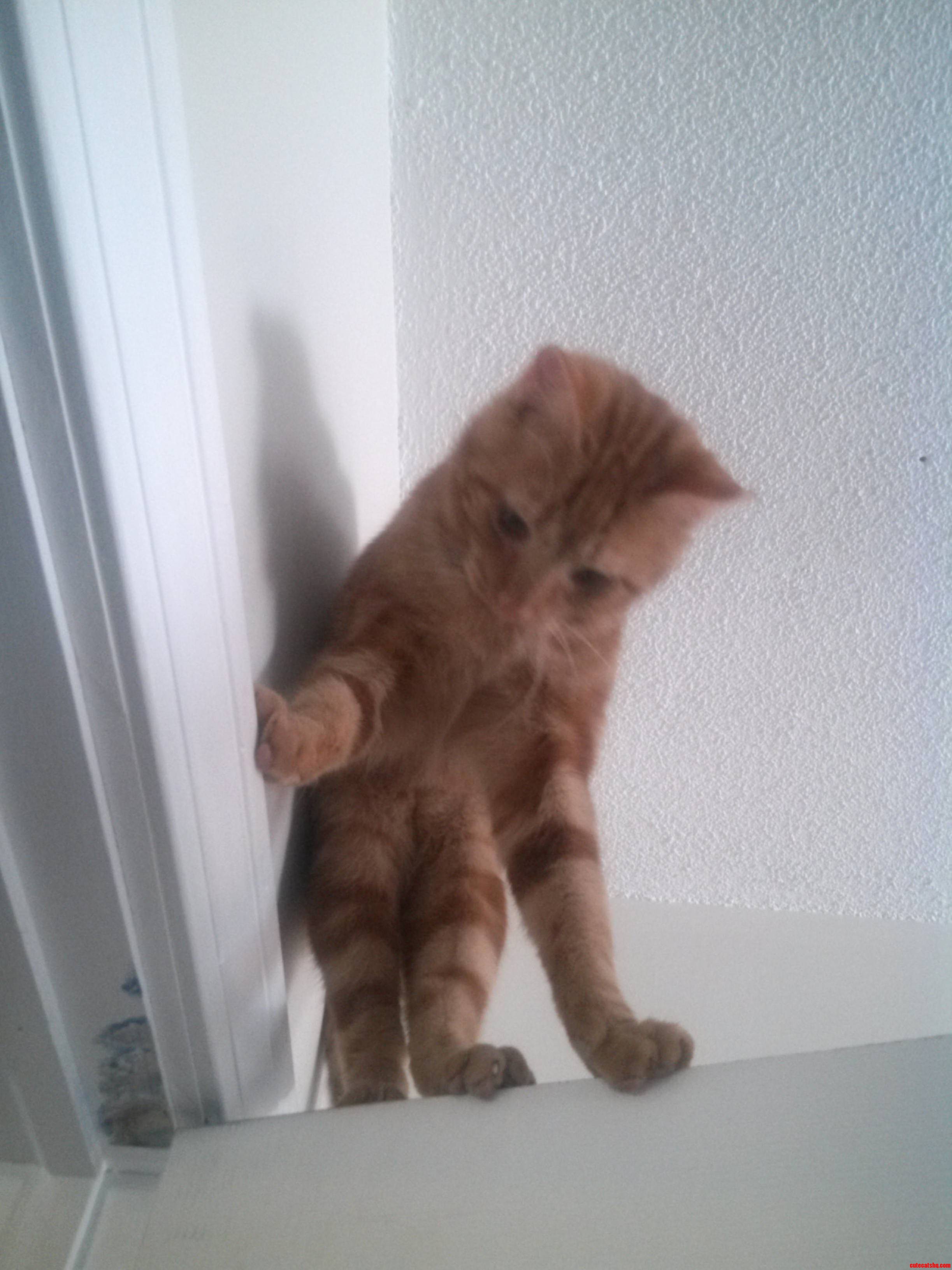 Ummm...hi