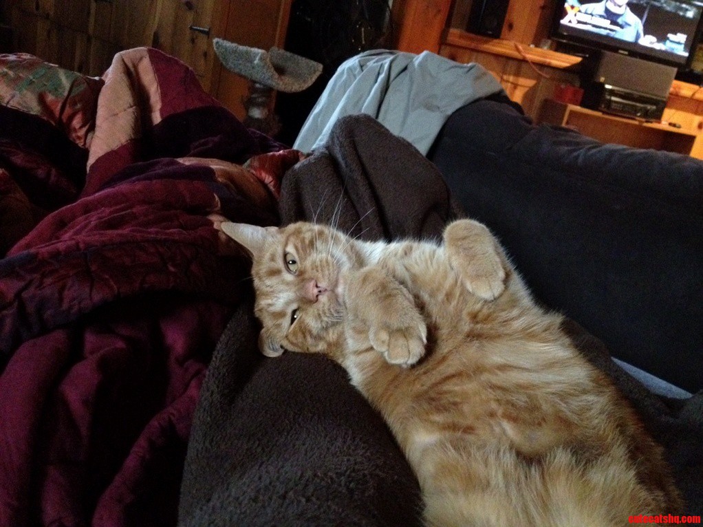 Waking Up from a Nap