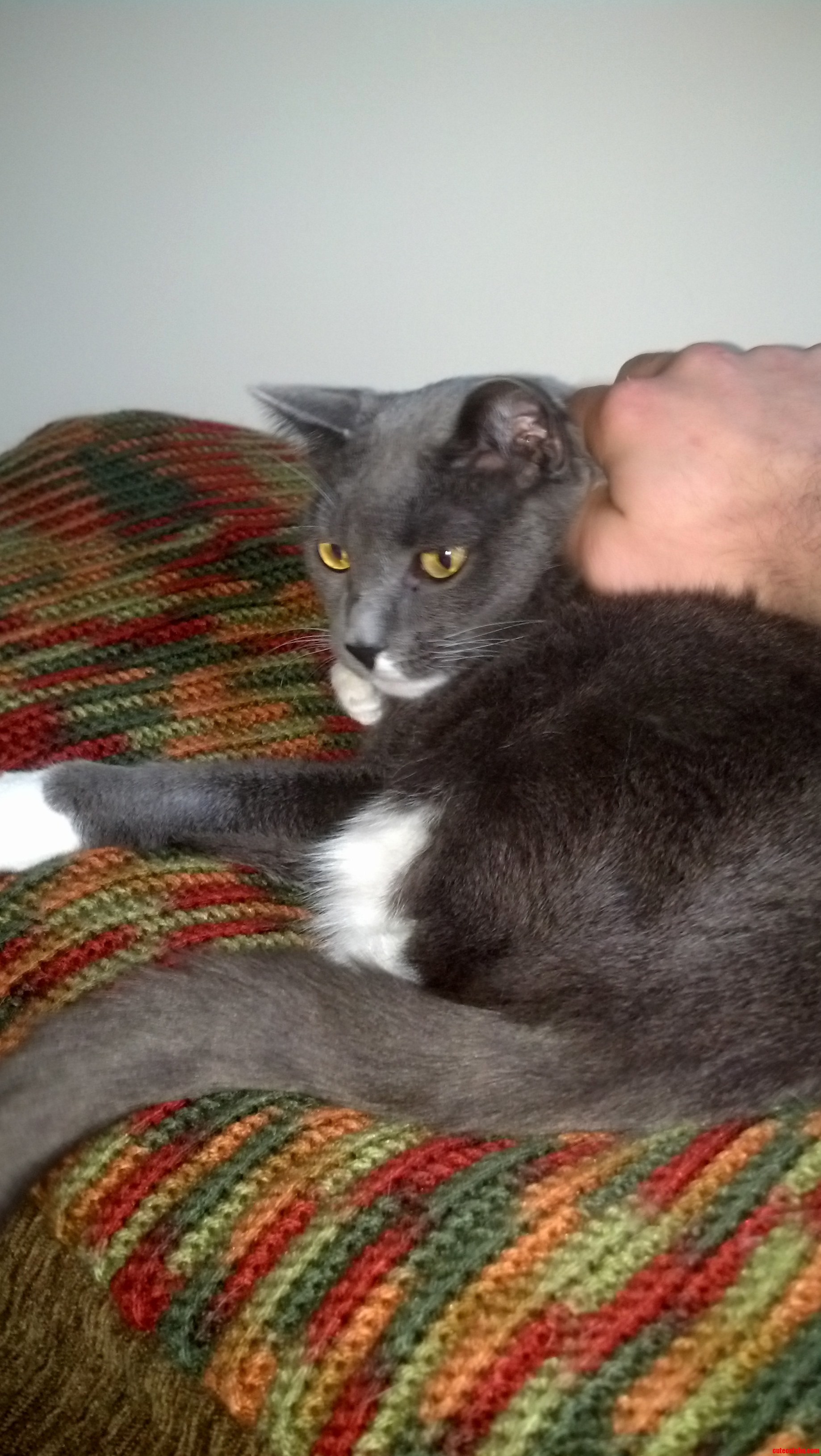 Walter