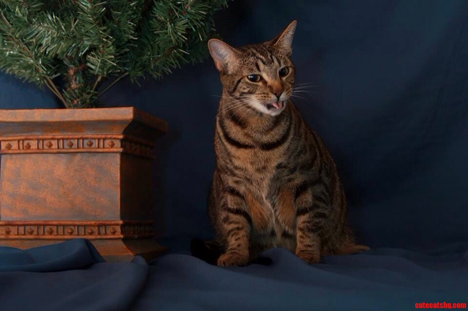 Was Setting Up for a Photo Shoot When...