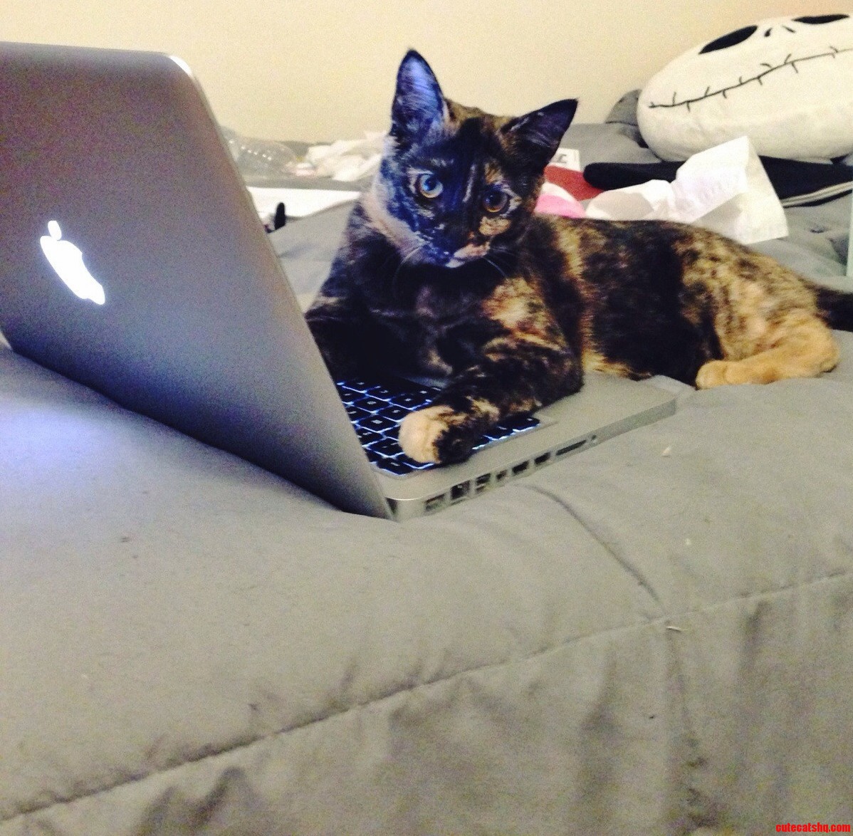 We Decided Taking Turns Working on My Final Would Be More Efficient. Her Turn Is Almost Up Ugh.