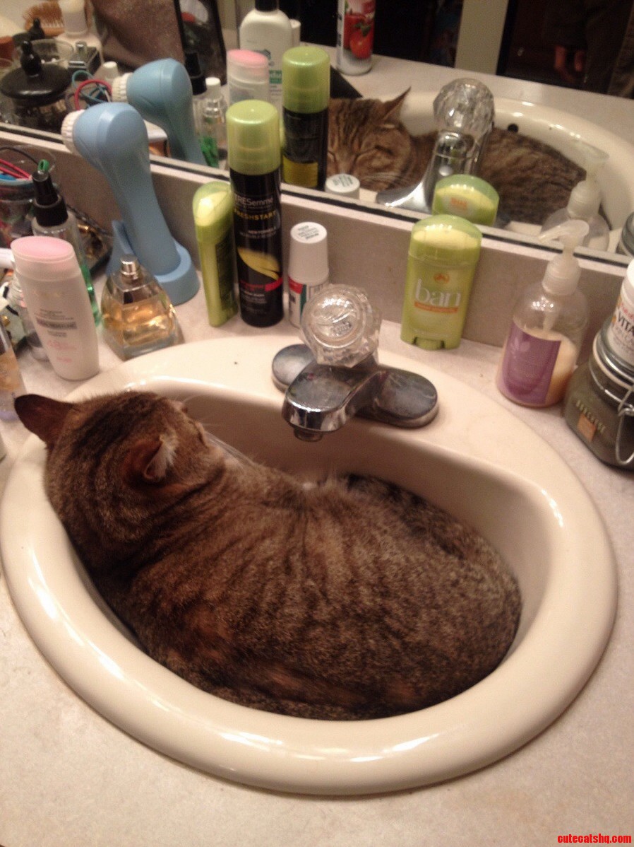 We Give Him a Brand New Bed and He Still Sleeps Here Every Night...