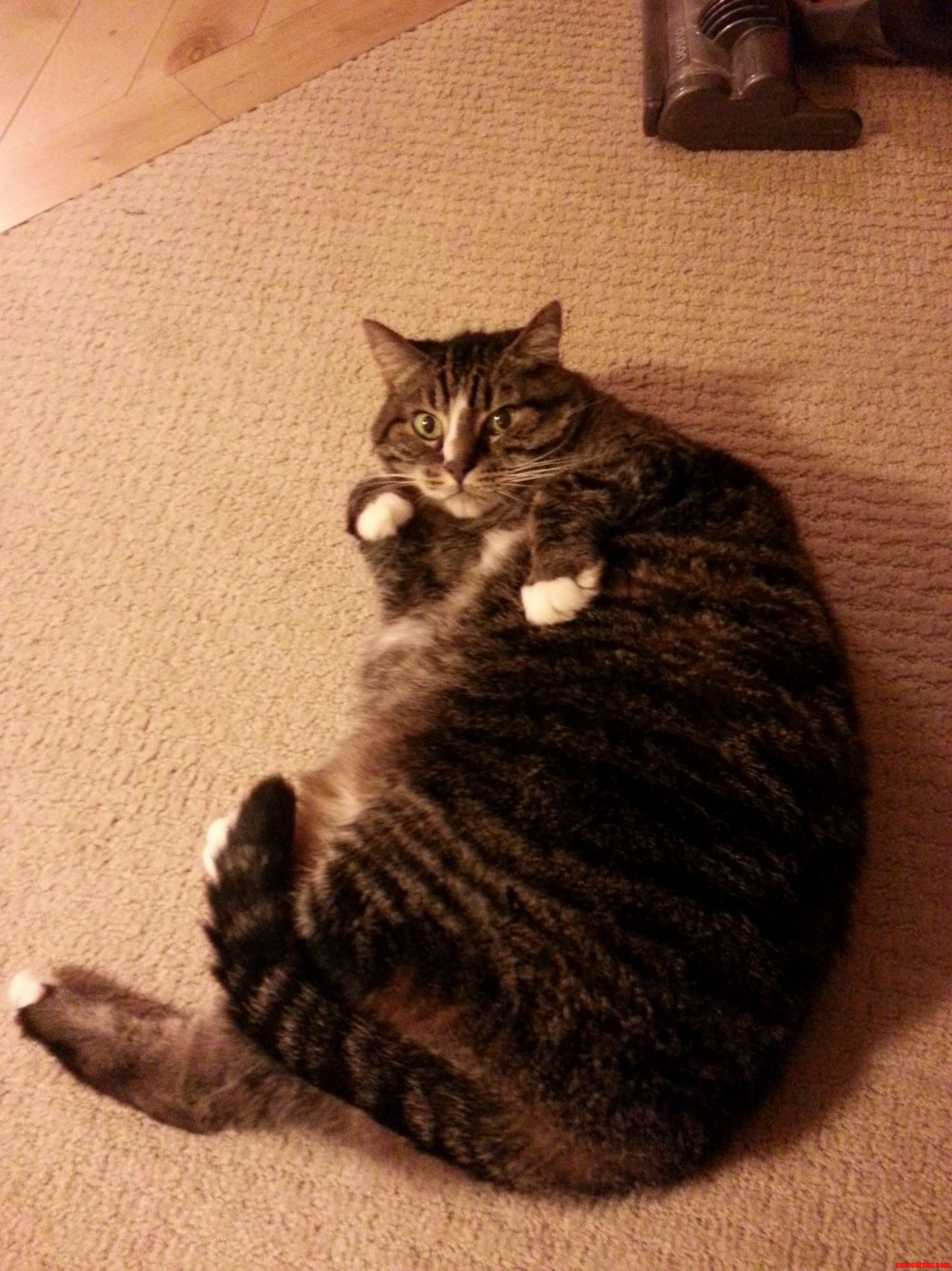 Weebles Trying to Look Coy but I Think Shes Past Her Prime...