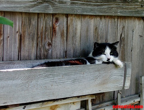 Well Im Off to Bed Night Night from My Favorite Place to Sleep 3