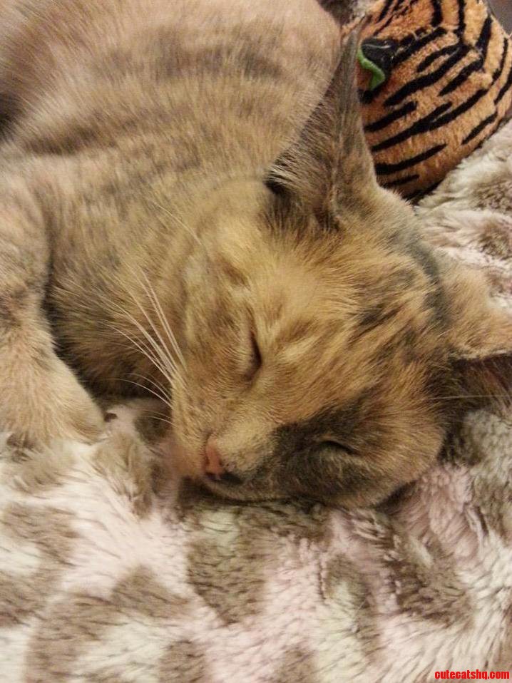 Were 2 500 Miles Apart on Her First Christmas. I Miss Her.