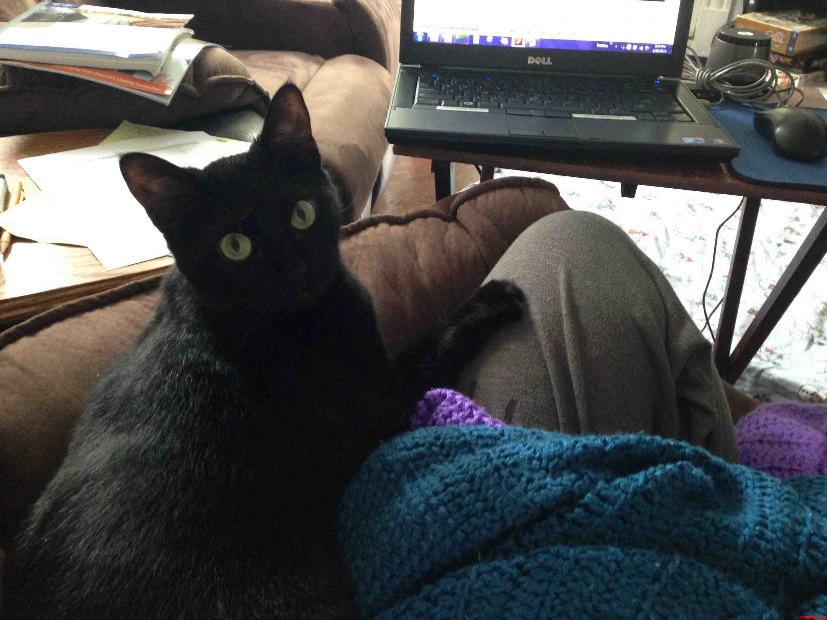 What Collaboration While Working from Home Looks Like.