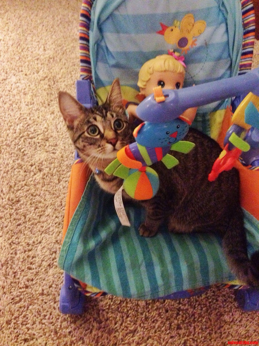 What Do You Mean This Seat Wasnt Made Specially for Me...