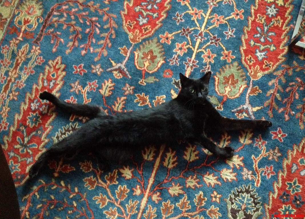 What. I Always Lay Like This.