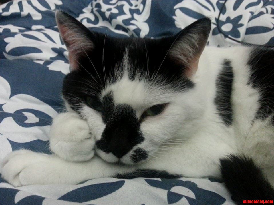 Whatcha Thinkin Bout
