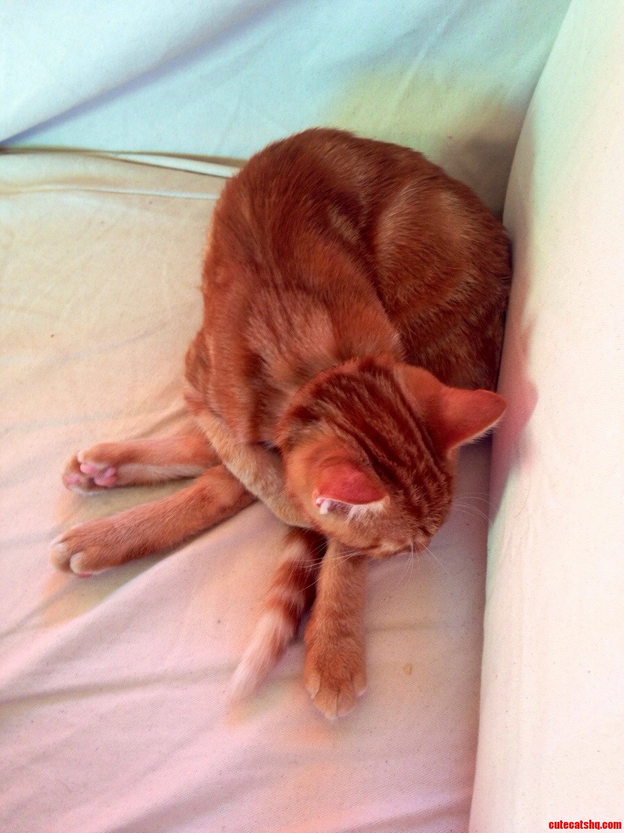 Who Even Sleeps Like This