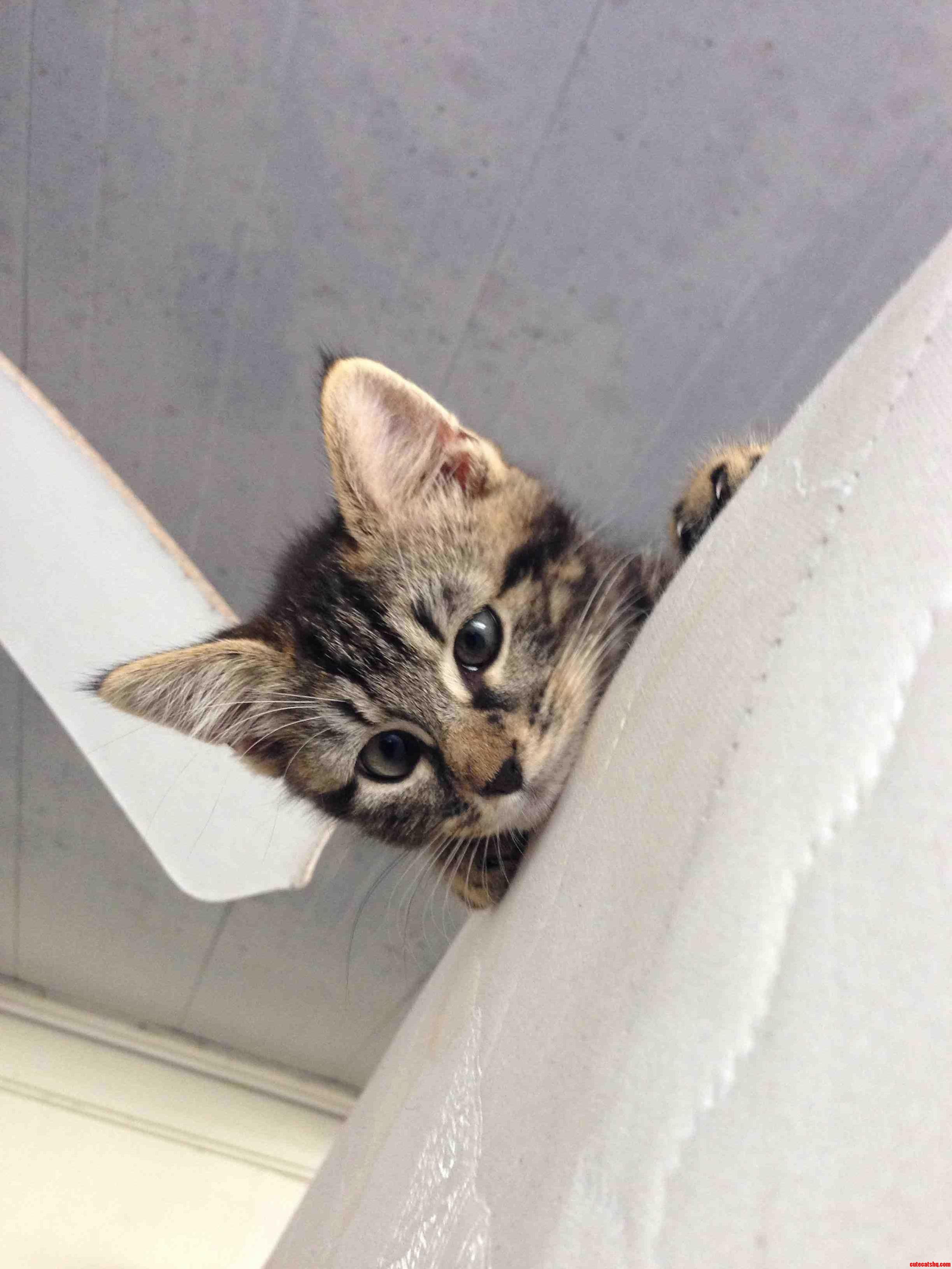 Why Hello There...