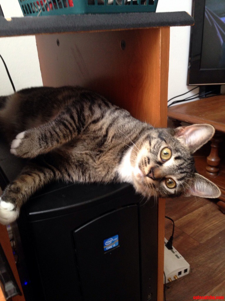 Your Computer Is Made of Warms.