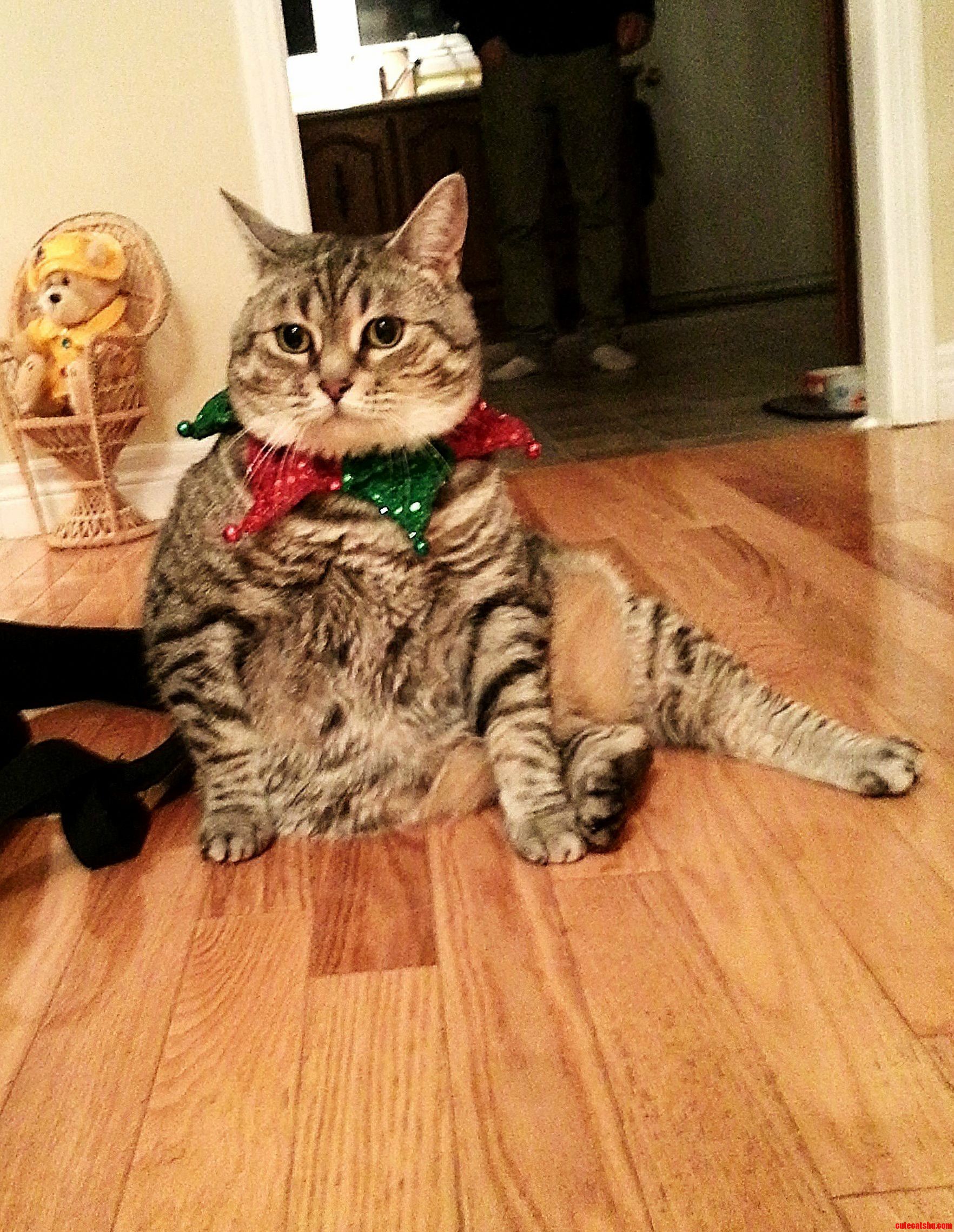 Yuri Is in the Christmas Spirit Sort of