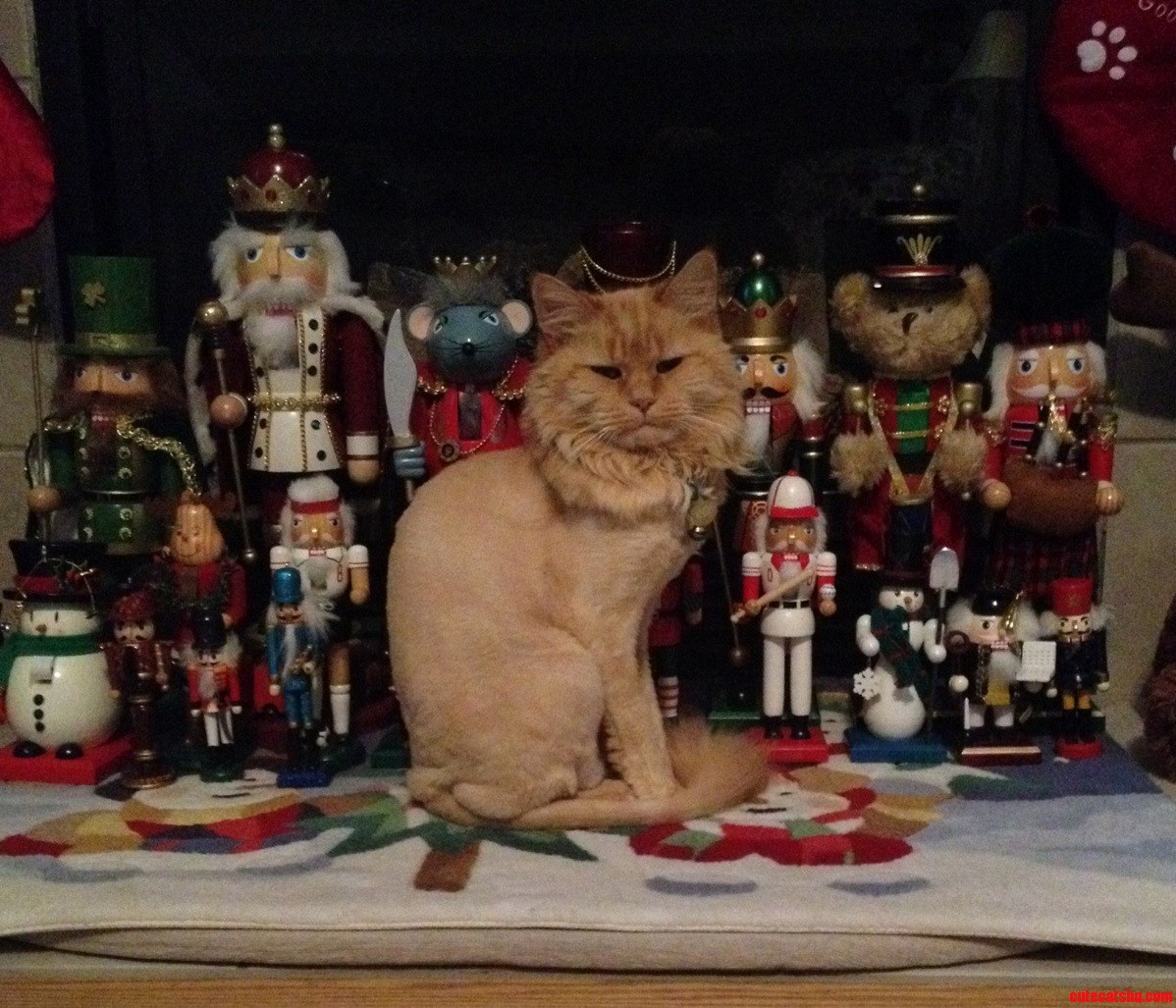 Zoie Wasnt Happy to See Her Spot Under Siege