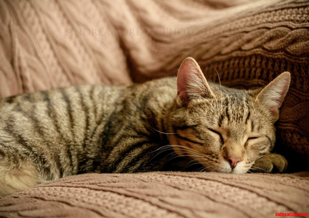 Aaaah the Lap of Luxury