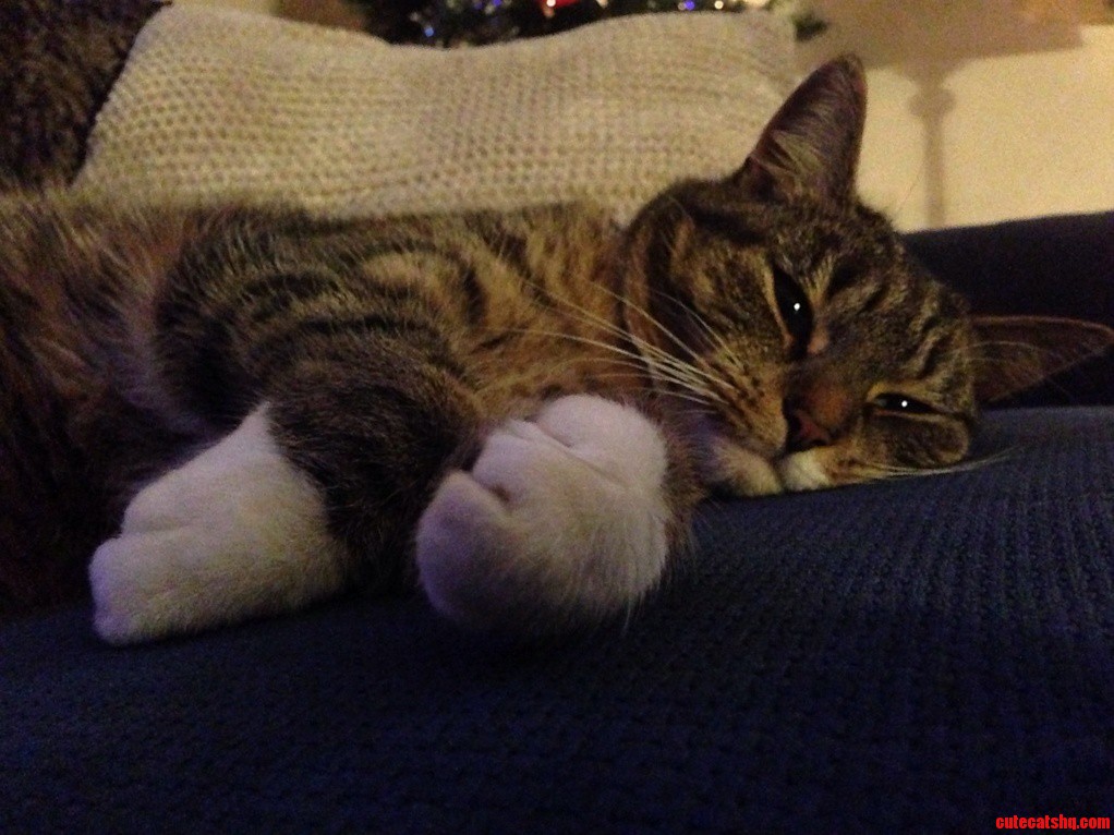 Alexis aka Grumpy Gills