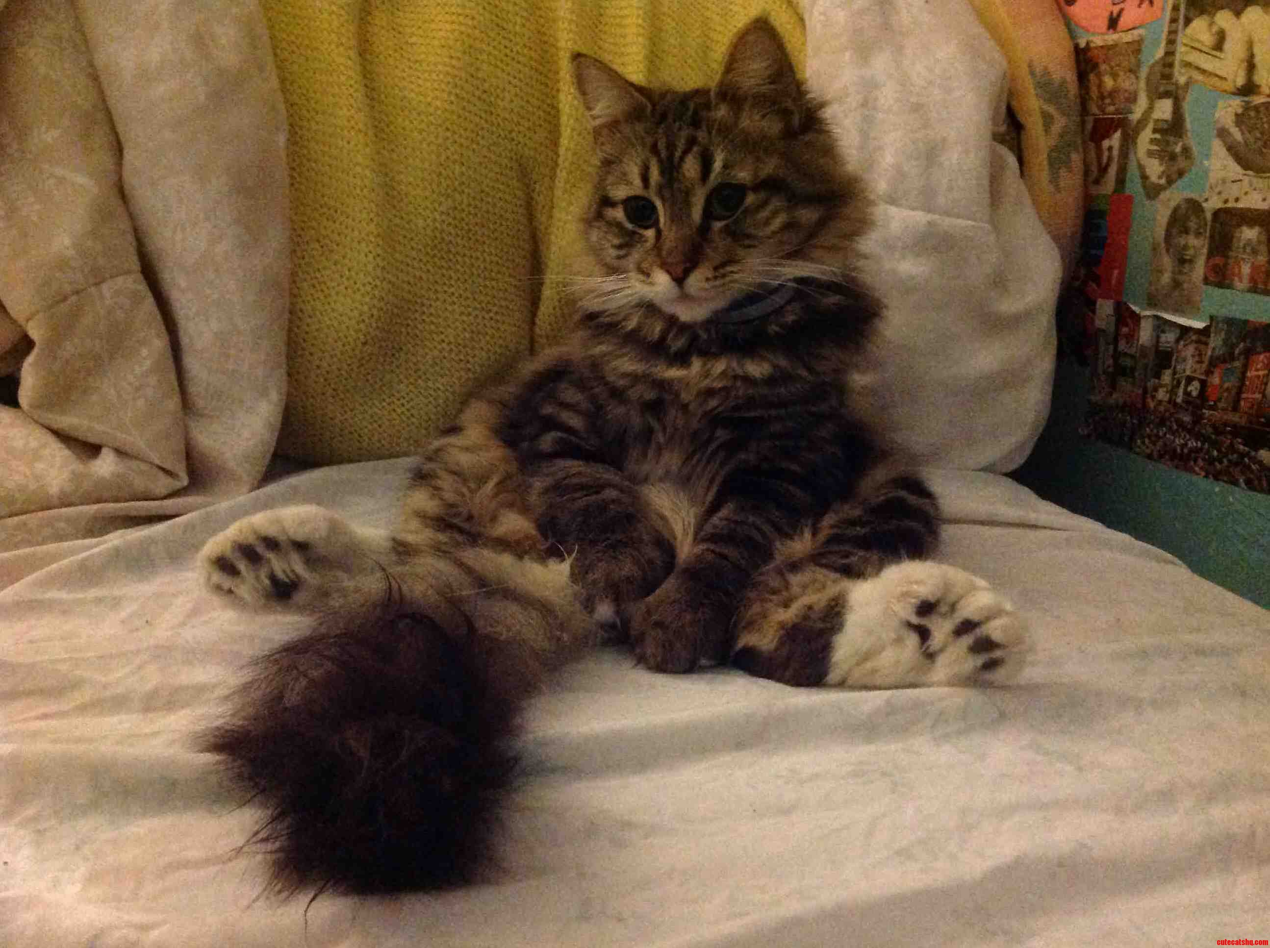 Amazons Favorite Way to Sit