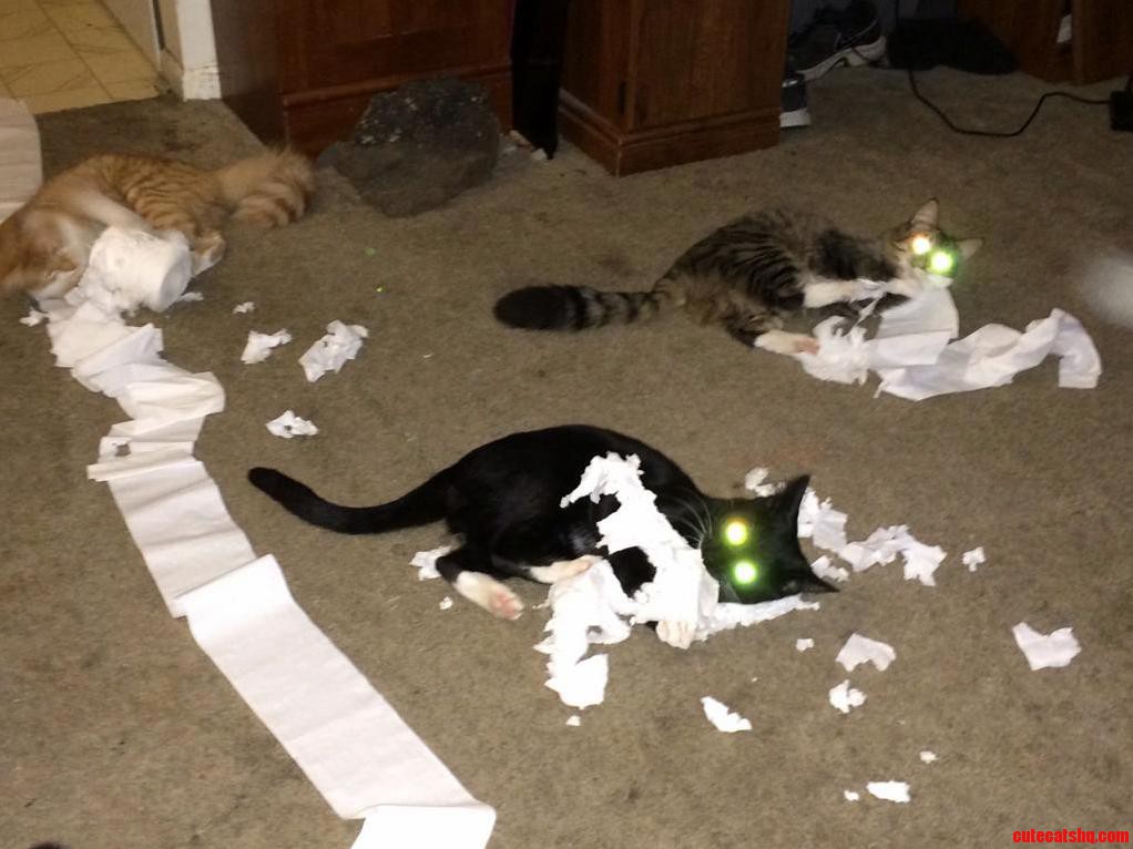And This Is Why We Have to Buy Toilet Paper So Often...
