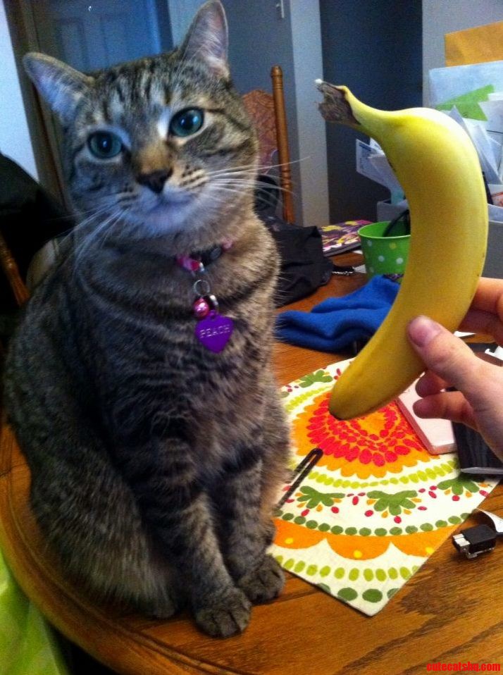 Banana for Scale
