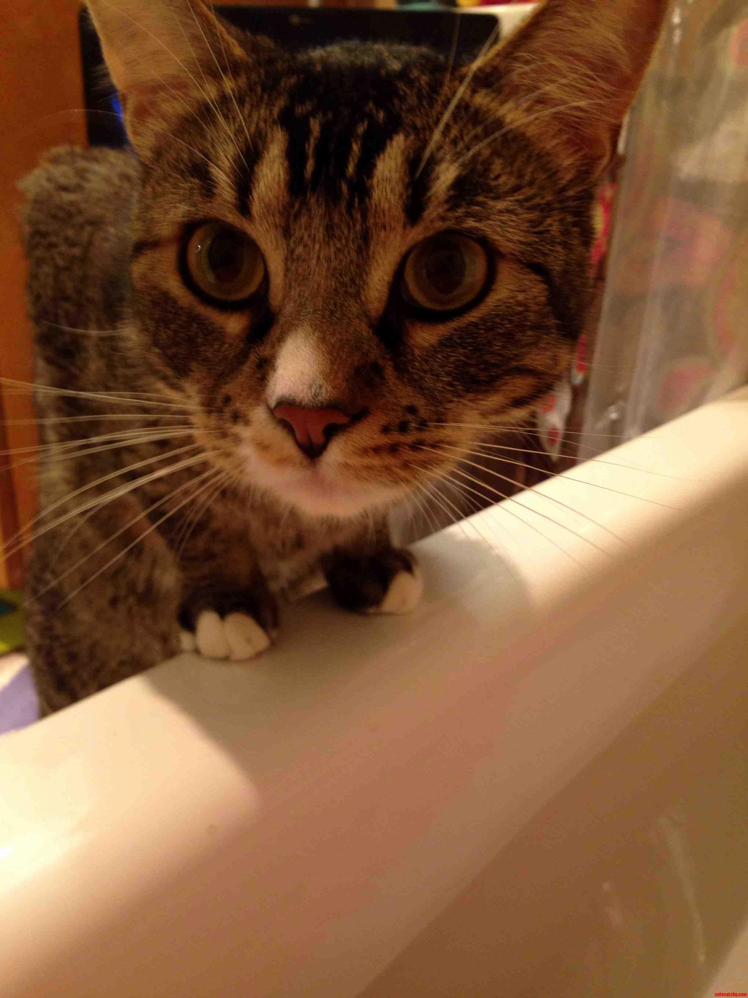 Banjo Is Very Concerned About Mommy in the Bathtub.