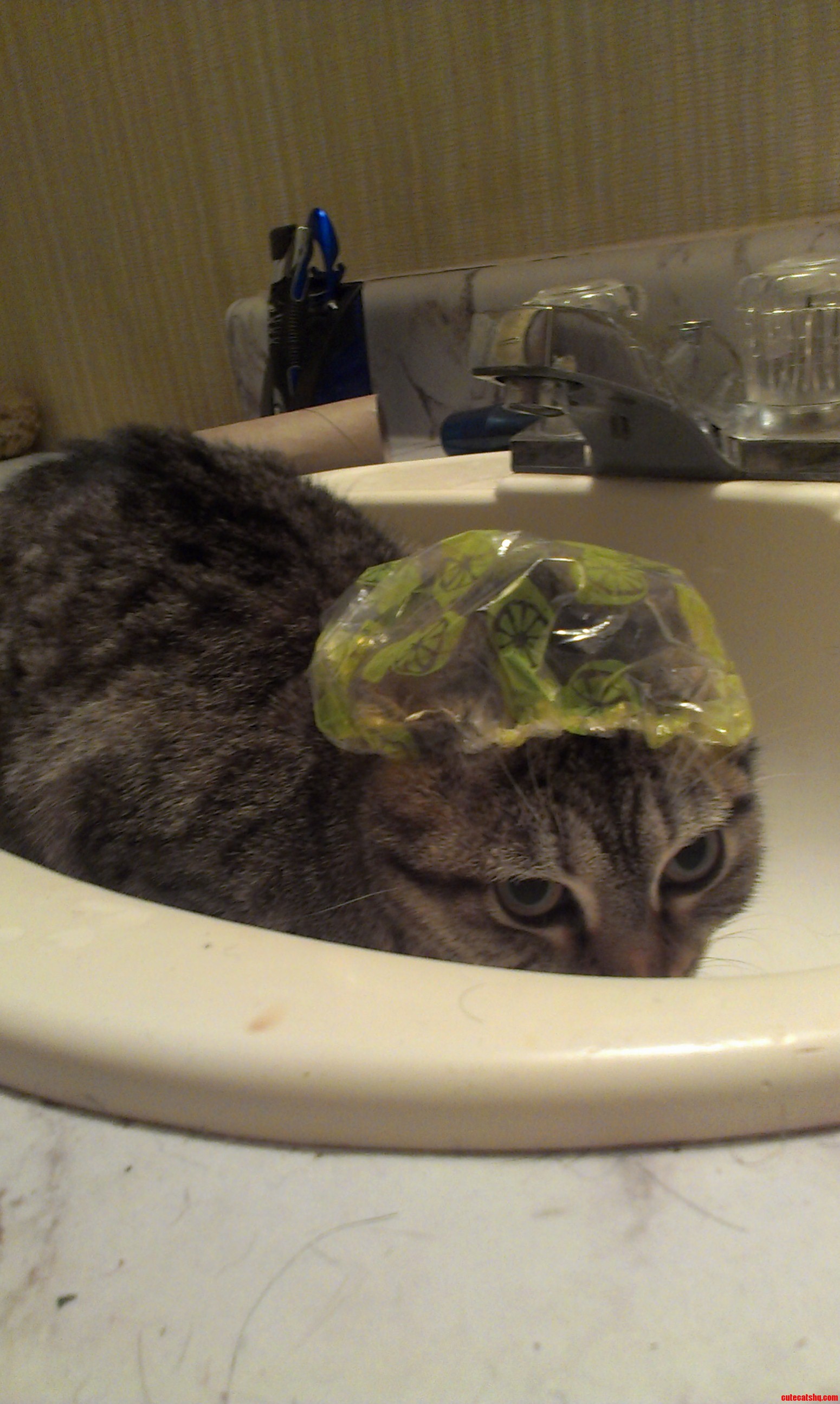 Bath Time