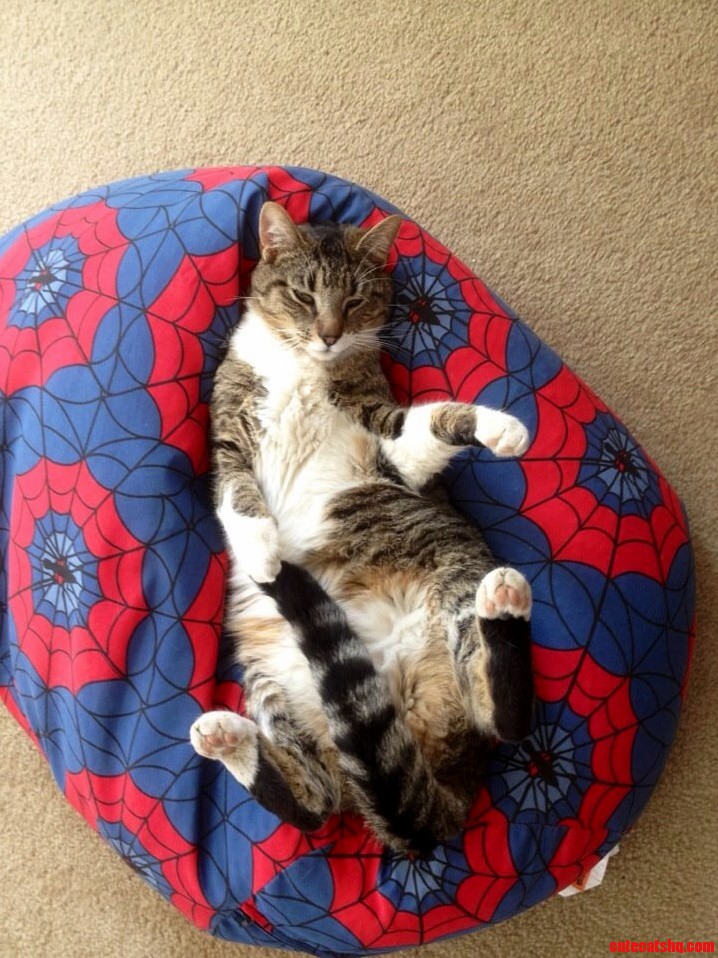 Bean Bag Chair...