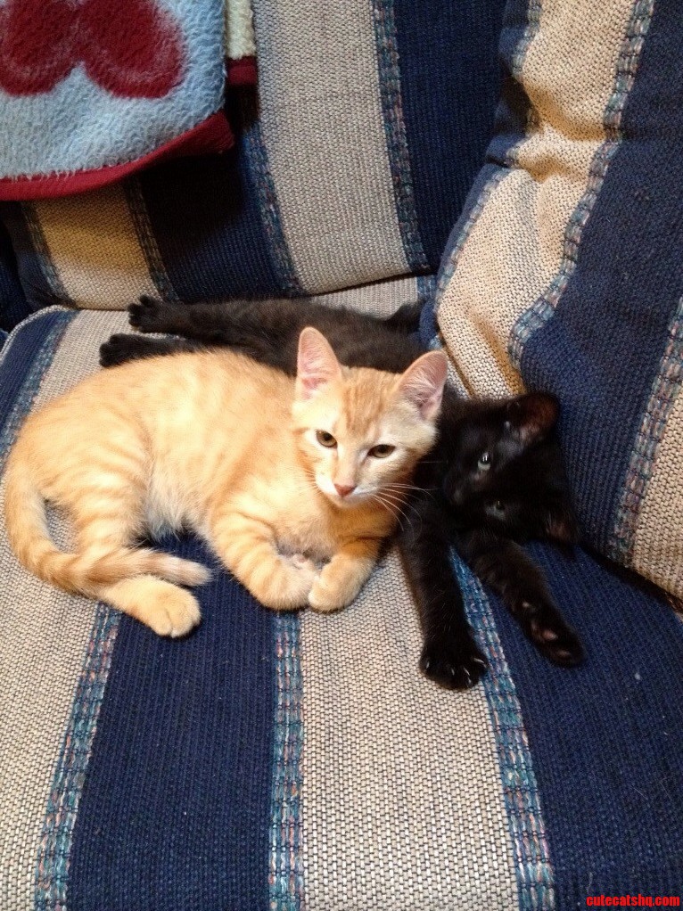 Best Friends