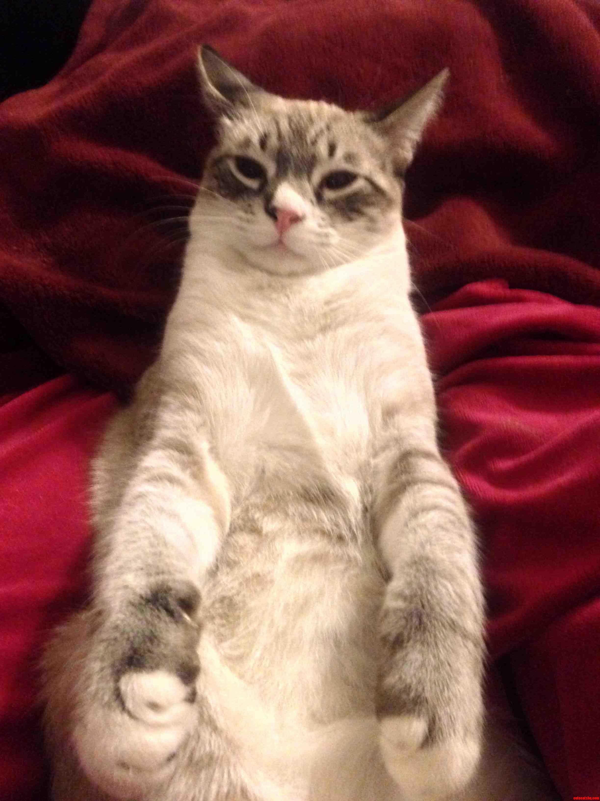 Biscuits Is Over His First Nye