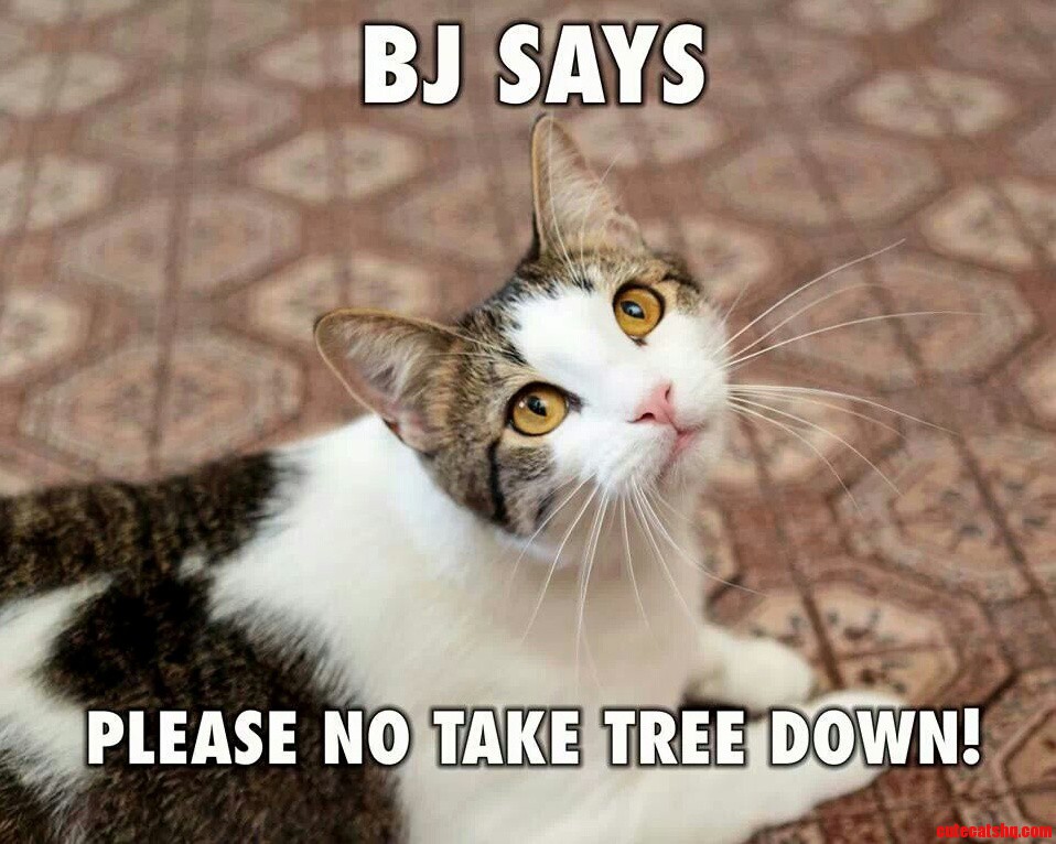 Bj. Says . . .