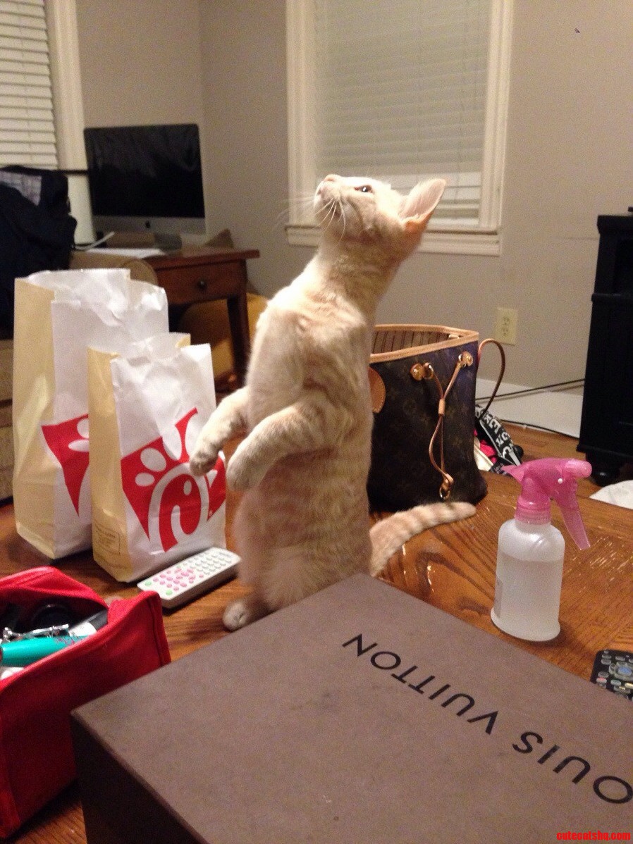 Bow to Me You Peasants