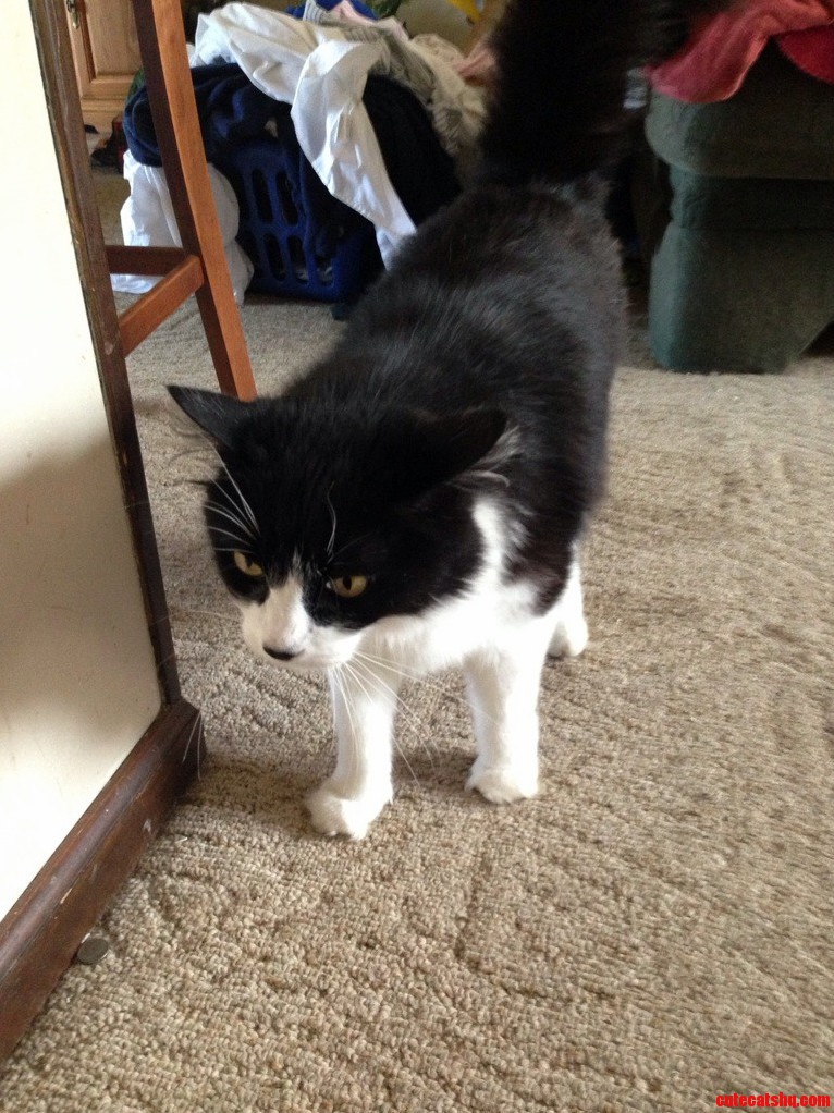 Bubba Doesnt Like to Have His Picture Taken.
