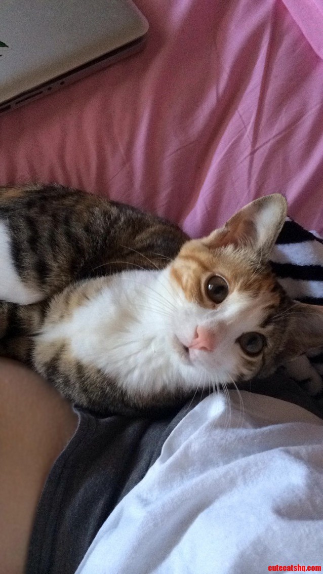 Butters Is Always Camera-ready