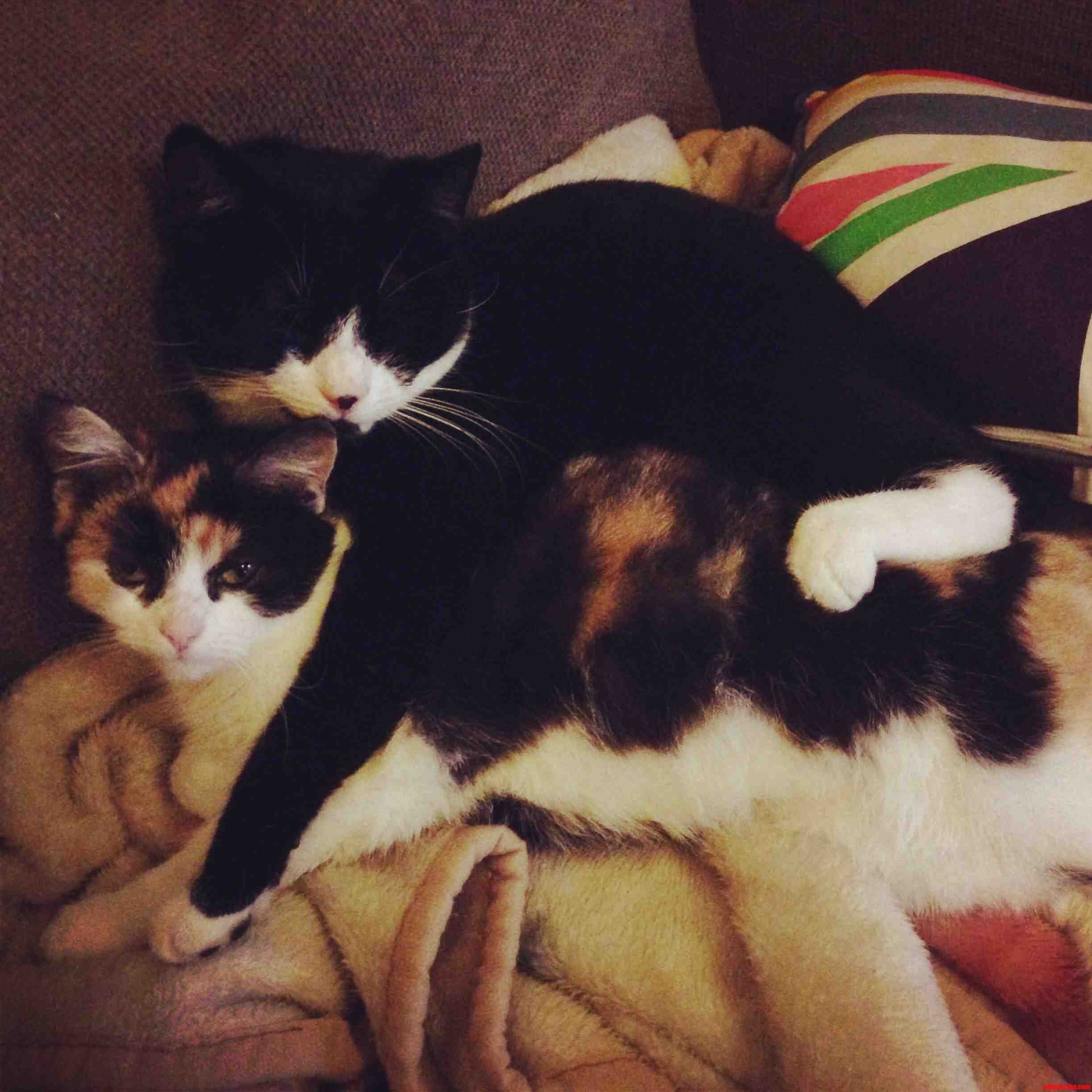 Caught These Two Spooning Each Other