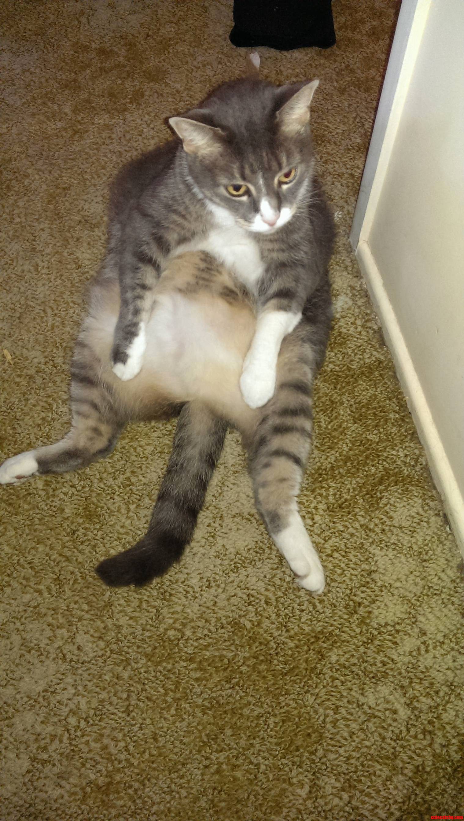 Chillin Like a Villain