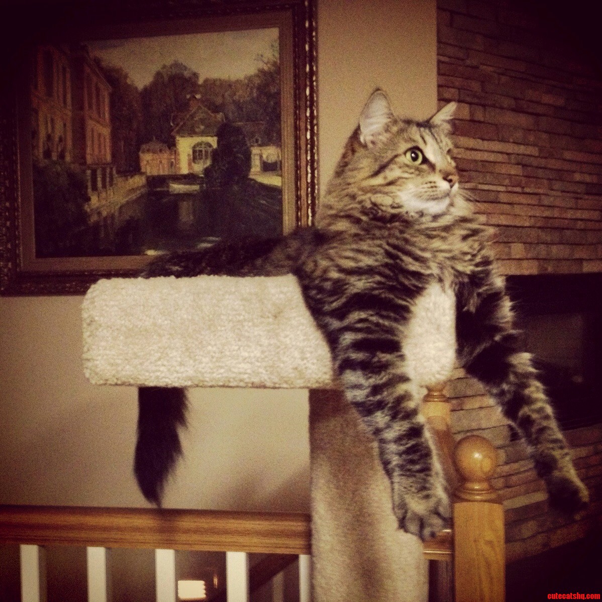 Chillin Tough