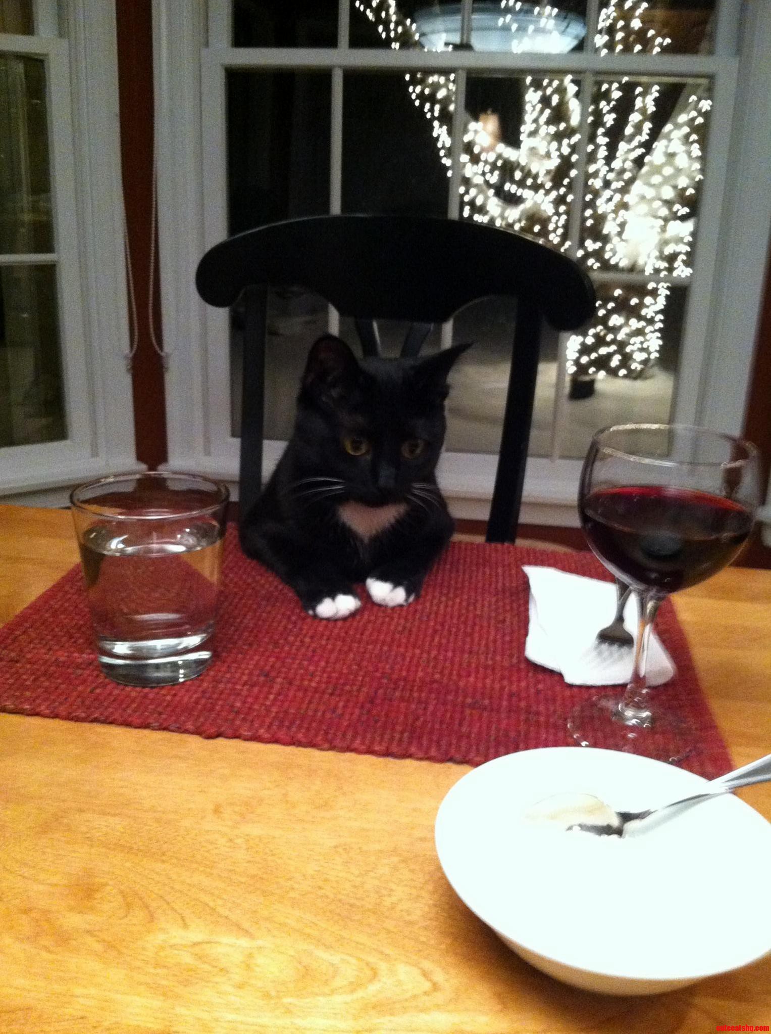 Christmas Dinner