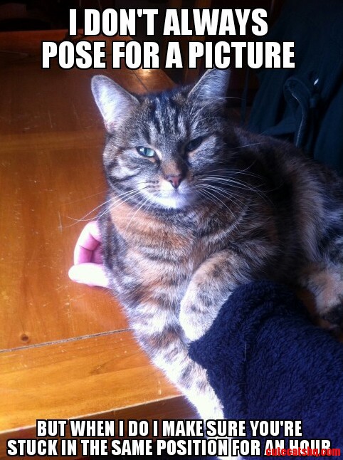 Dammit Penny.
