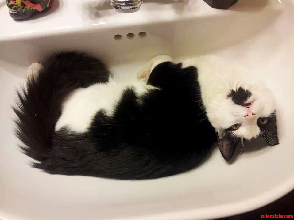 Derp