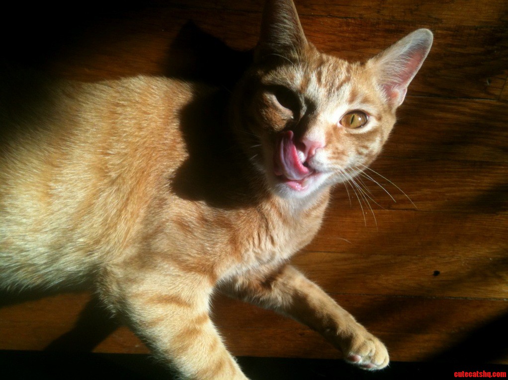 Derpy Plus Creepy Equals...
