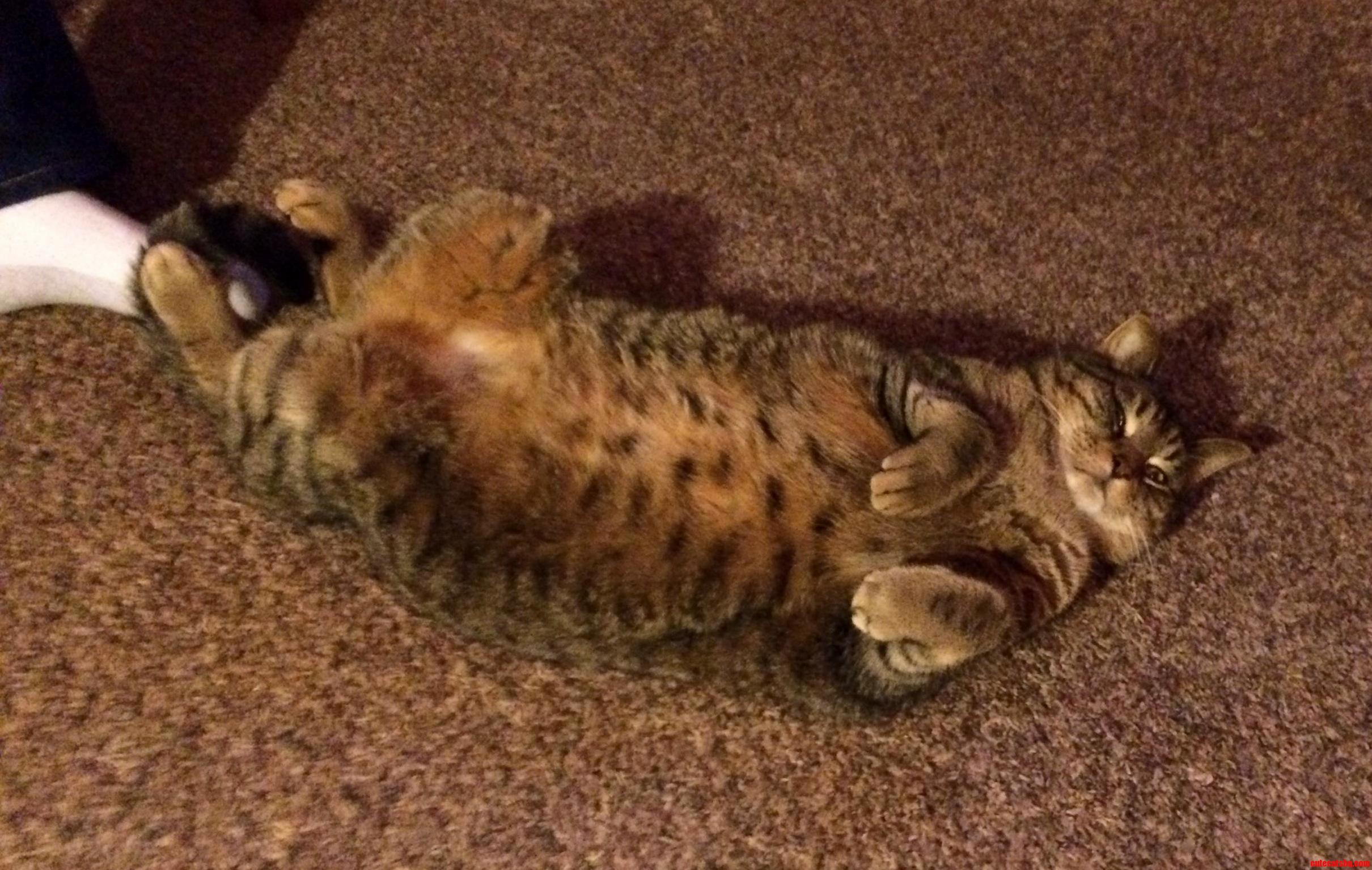 Draw Me Like One of Your French Girls X-post from Raww