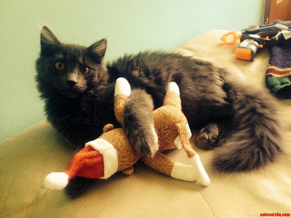 Errol Got a Sock Monkey for Christmas. I Think He Likes It.