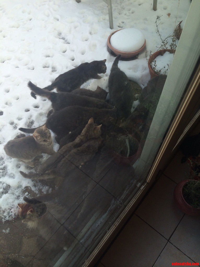 Feeding Time.