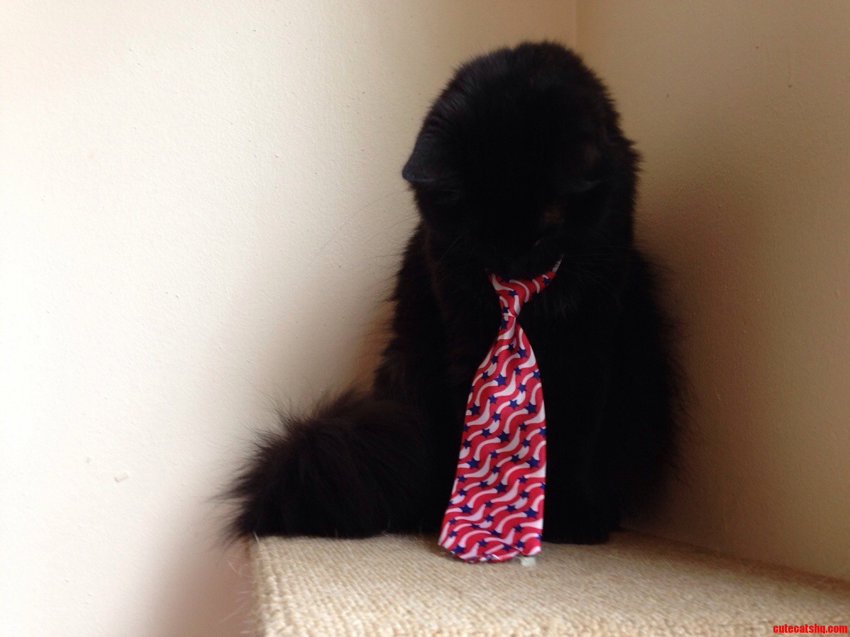 Ford Prefect Pouting About His Tie.
