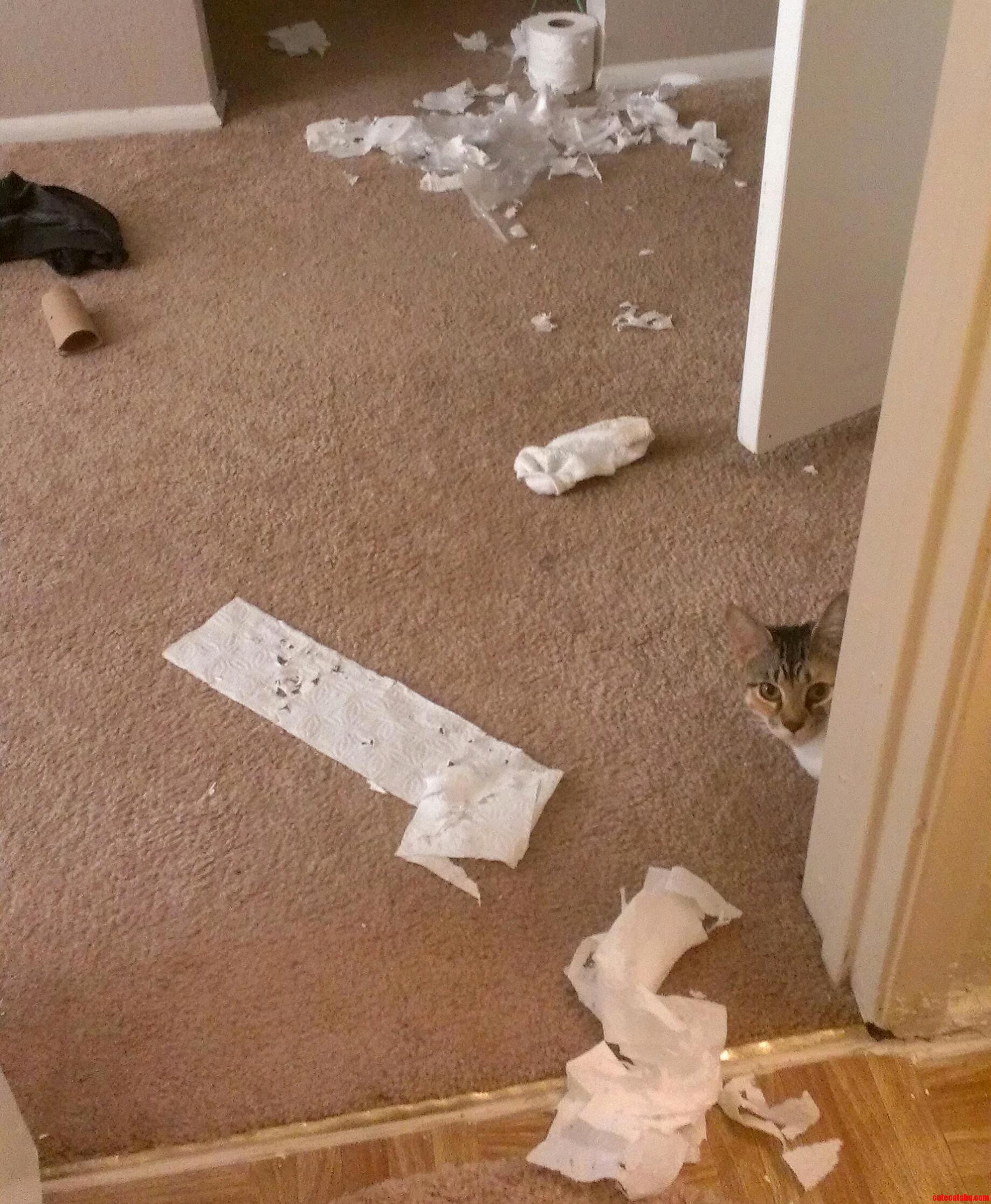 Forgot to Shut the Bathroom Door Before I Left