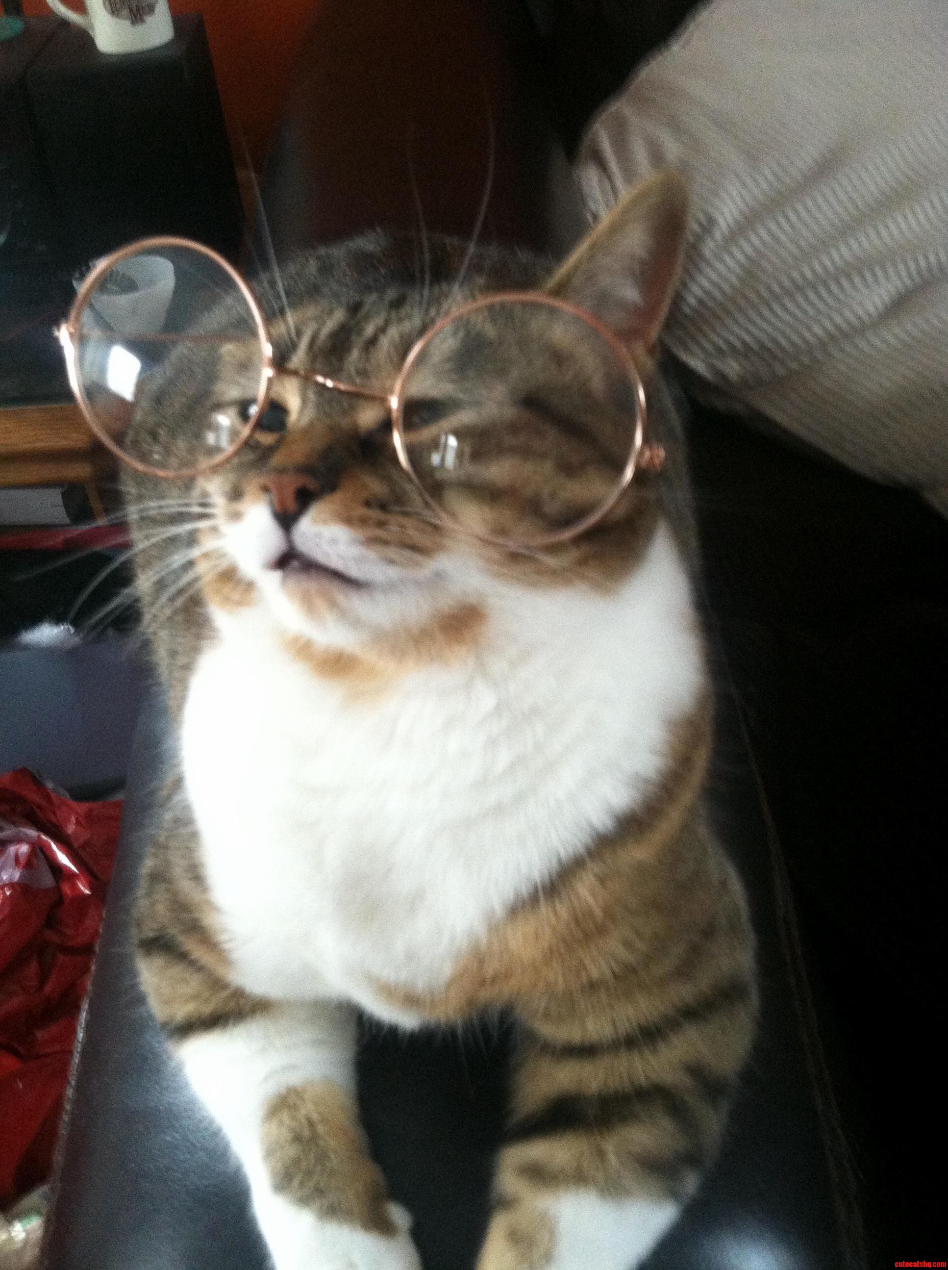 Frank These Are My Reading Glasses Where Are My Driving Glasses