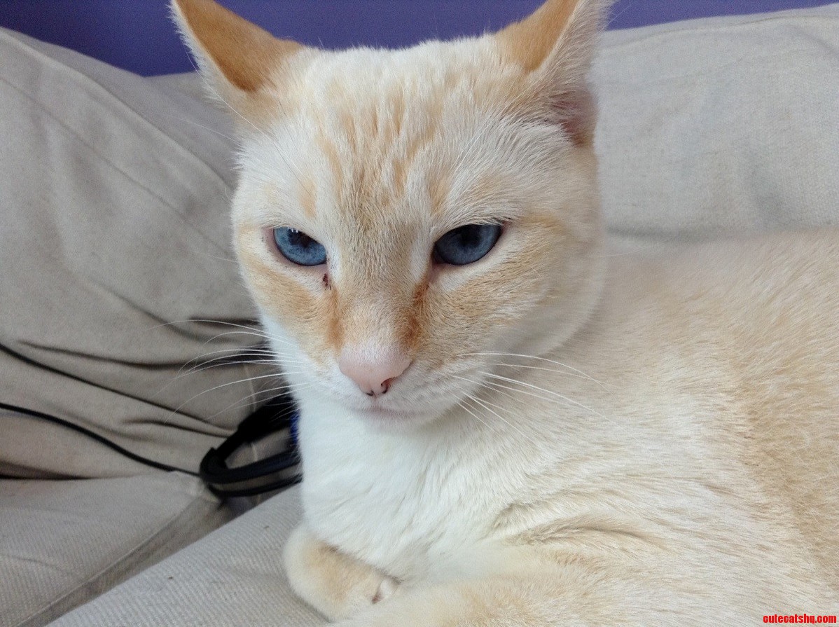 Get That Stupid Camera Out of My Face